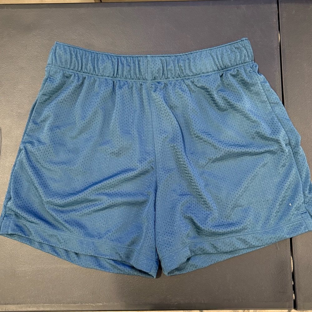 Abercrombie & Fitch Teal Mesh Shorts